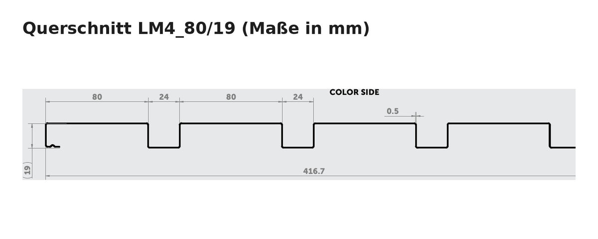 Budmat Fassadenlamelle LM4_80/19 Querschnitt mit Maßen