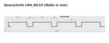 Budmat Fassadenlamelle LM4_80/19 Querschnitt mit Maßen